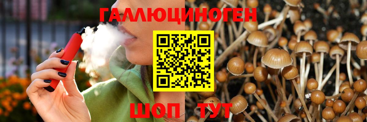 Галлюциногенные грибы Psilocybine cubensis  Вход с VPN  Нововоронеж 