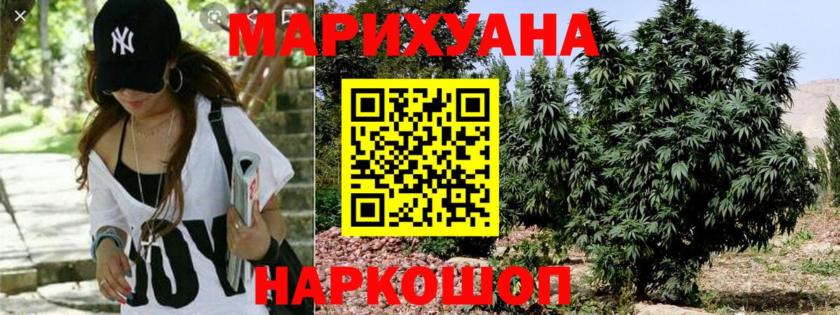 Канабис White Widow Нововоронеж